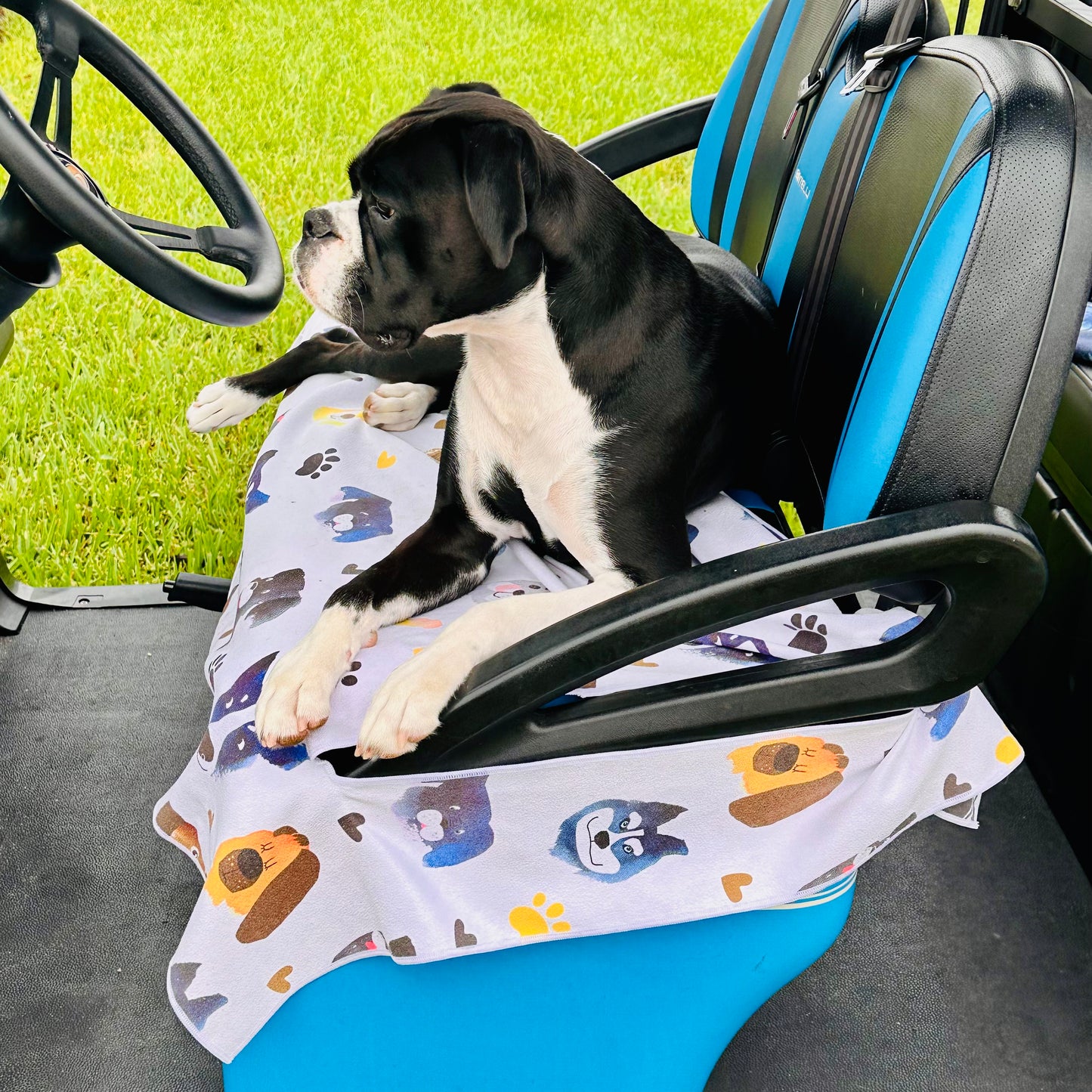 Golf Cart Seat Cover - Dog Print / Dogs