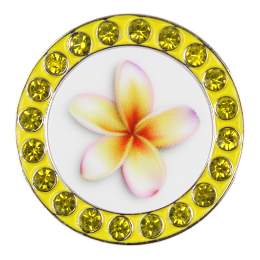 Crystal Ball Marker - 079