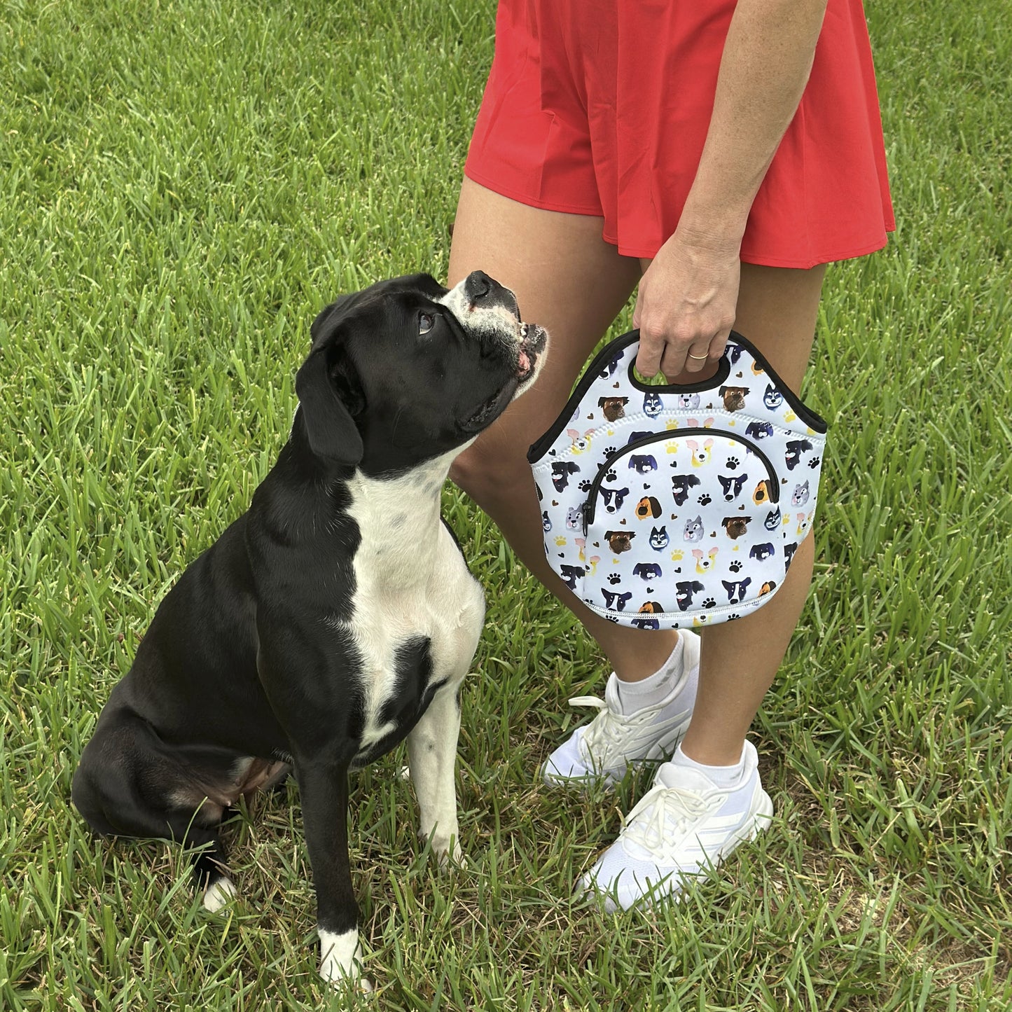 Neoprene Lunch Bag with Pocket - Doggie Party
